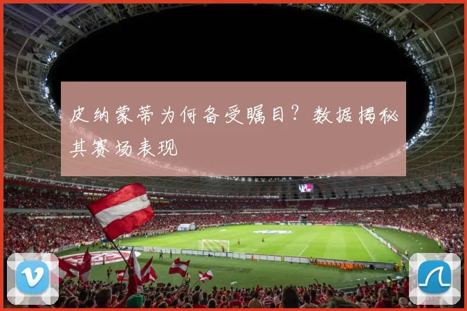 皮纳蒙蒂为何备受瞩目？数据揭秘其赛场表现
