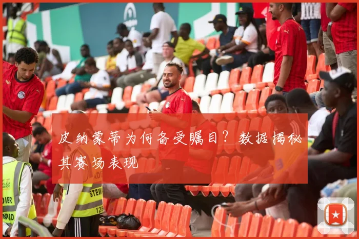 皮纳蒙蒂为何备受瞩目？数据揭秘其赛场表现