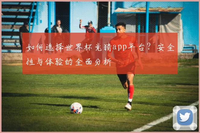如何选择世界杯竞猜app平台？安全性与体验的全面分析
