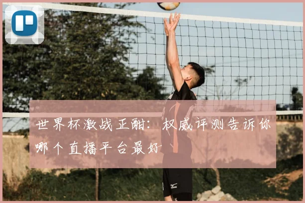 世界杯激战正酣：权威评测告诉你哪个直播平台最好