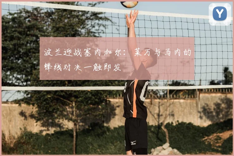 波兰迎战塞内加尔：莱万与马内的锋线对决一触即发