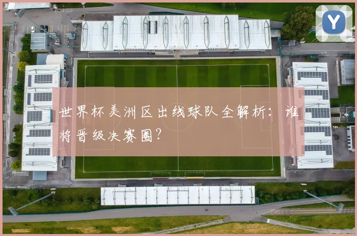 世界杯美洲区出线球队全解析：谁将晋级决赛圈？