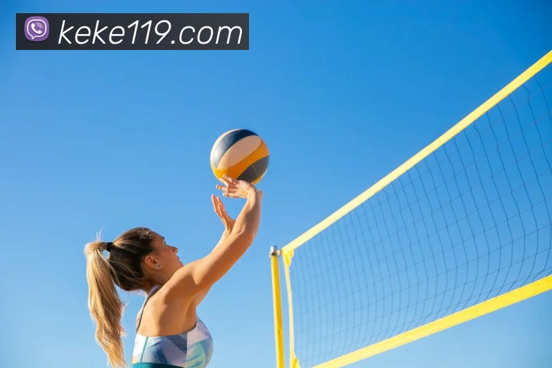 多媒体互动体验